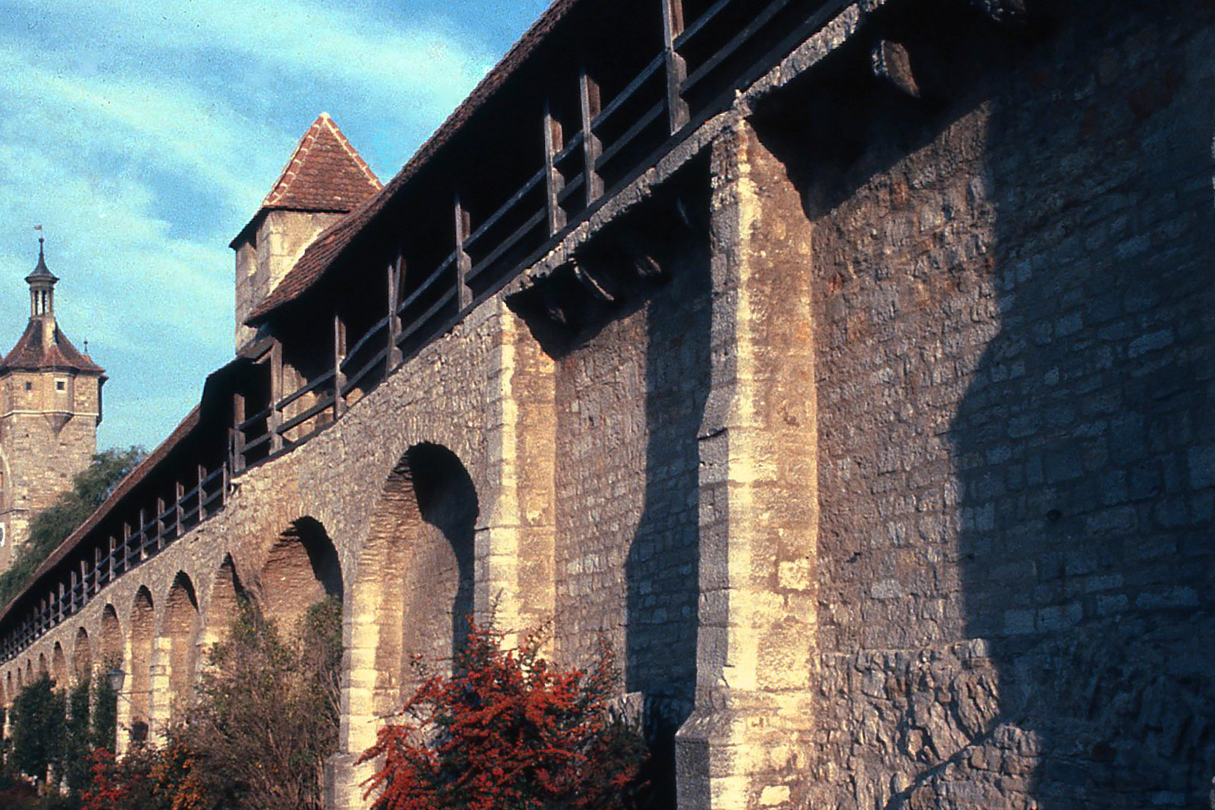 40 rothenberg.webp